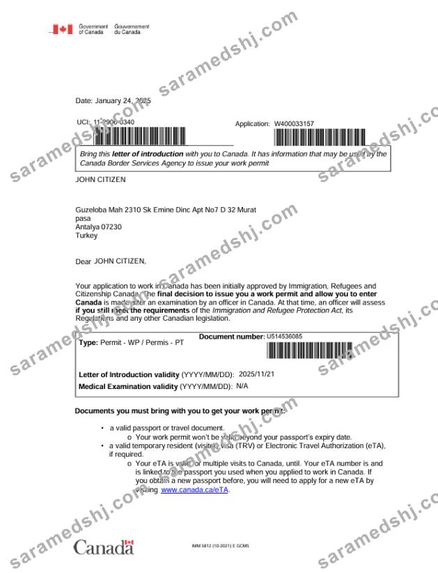 Canada e-visa template in Word and PDF formats